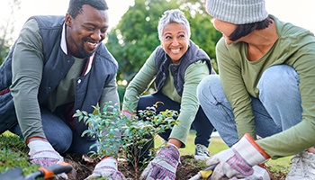 Group of volunteers smiling while planting a tree